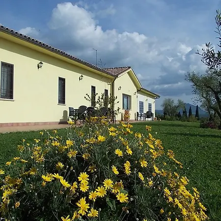 Fior Divino Magliano Sabina
