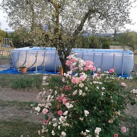 Fior Divino Séjour à la ferme Magliano Sabina